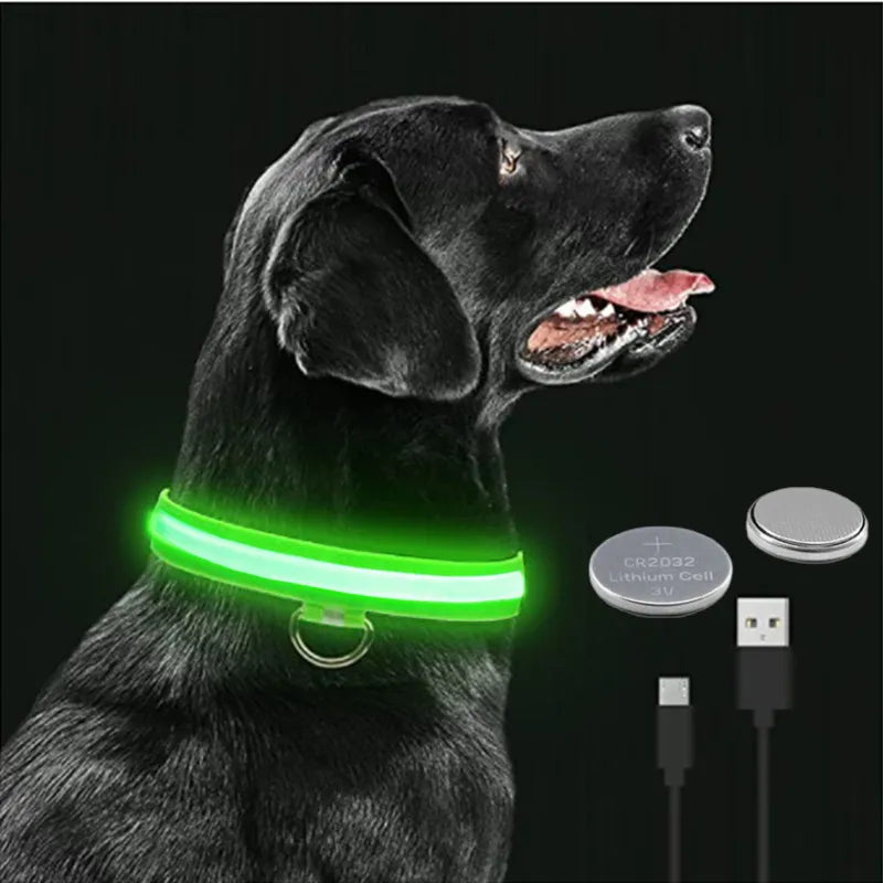 Adjustable Flashing Rechargea Luminous Collar Night Anti Lost Dog Eazy Beezee