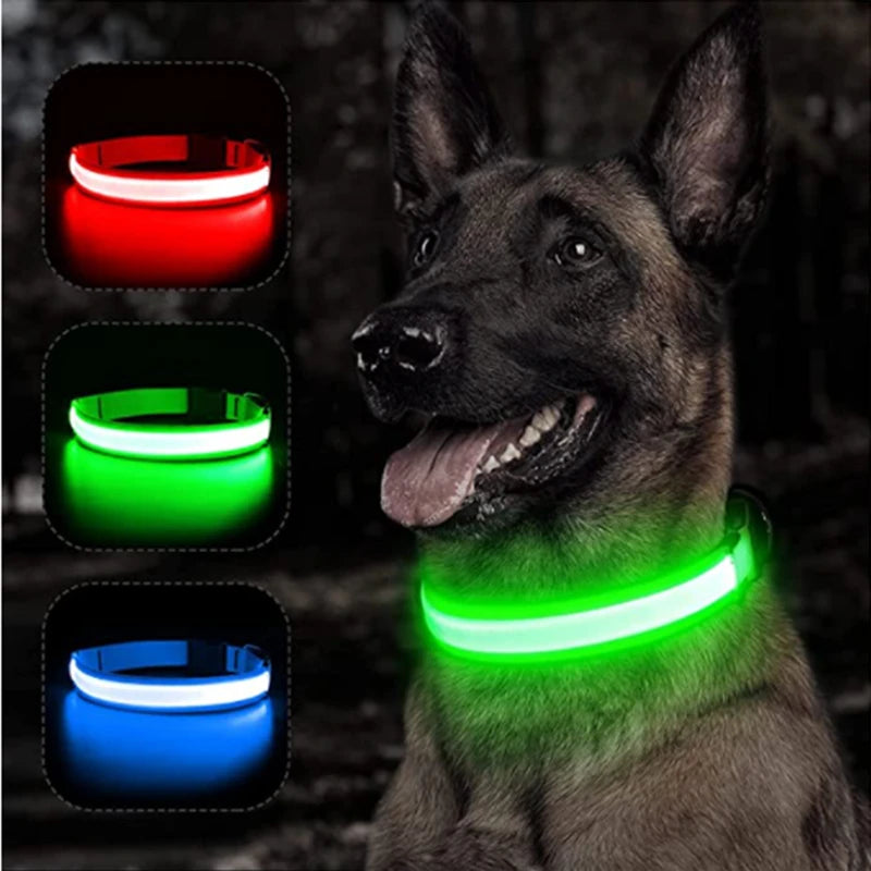 Adjustable Flashing Rechargea Luminous Collar Night Anti-Lost Dog