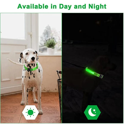 Adjustable Flashing Rechargea Luminous Collar Night Anti-Lost Dog