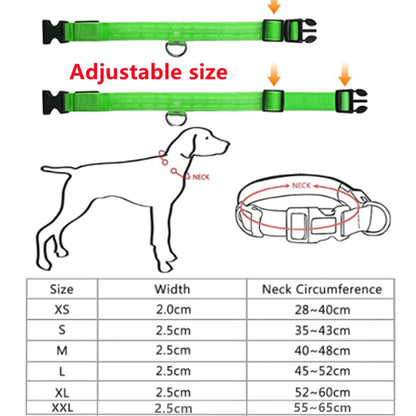 Adjustable Flashing Rechargea Luminous Collar Night Anti-Lost Dog